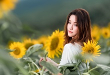 茶香满溢，养生首选：高端茶叶箱中的茶疗养生术